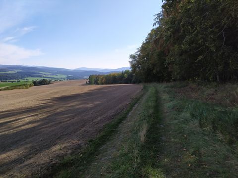 Foto 70